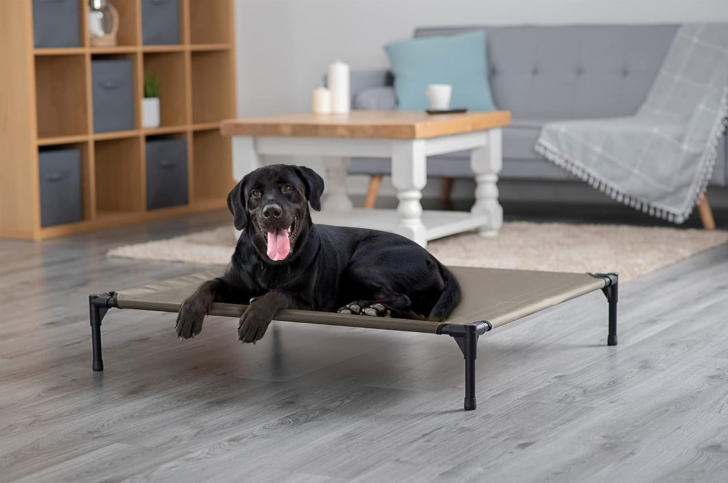 Elevated Dog Bed with Canopy Shade Portable Raised Cooling Ideal for Camping Home Garden Waterproof Washable & Breathable Oxford Fabric (Extra-Large)
