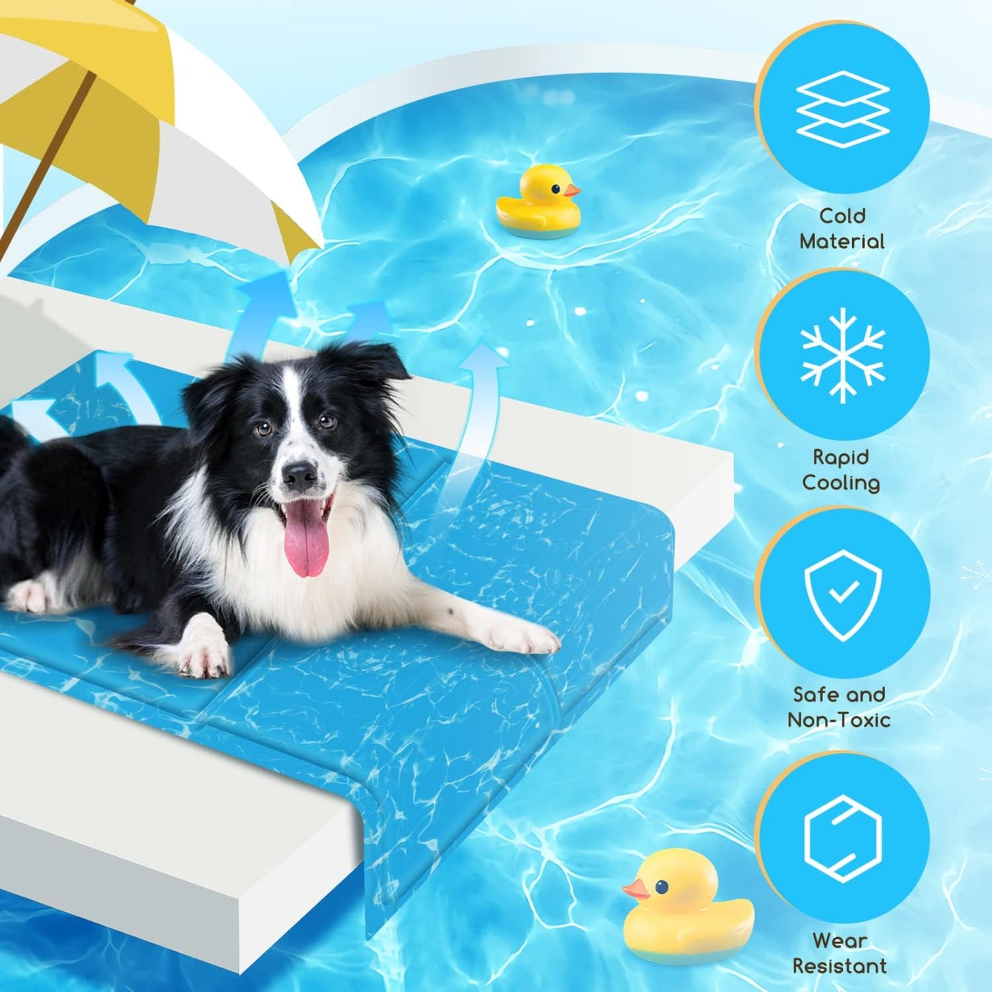 Dog Cooling Mat, M 65x50cm Durable Leakproof Pet Cool Mat, Non-Toxic Gel Self Cooling Pads, Scratch-Resistant Cooling Bed Mattress for Medium Dogs Cats Puppy in Hot Summer, Blue